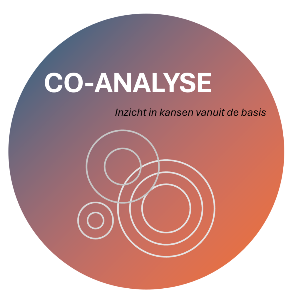 CO-ANALYSE